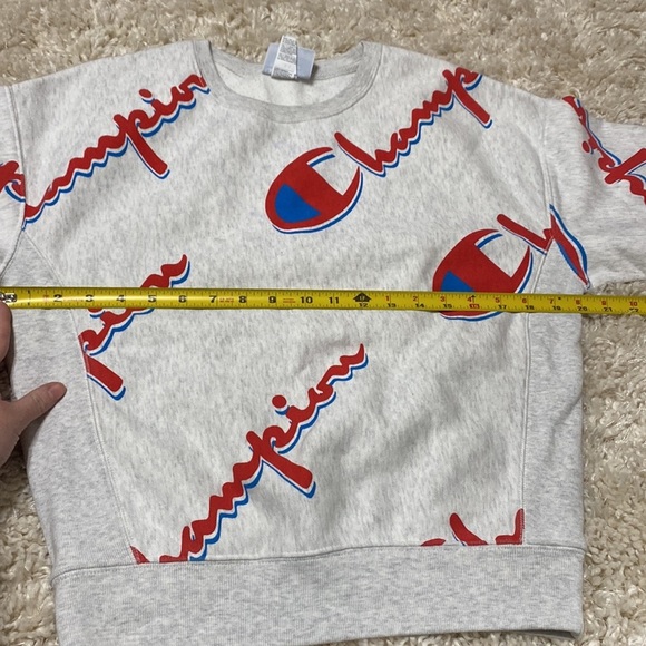 Gray Champion Logo crew neck cotton sweater, size medium - Picture 8 of 10